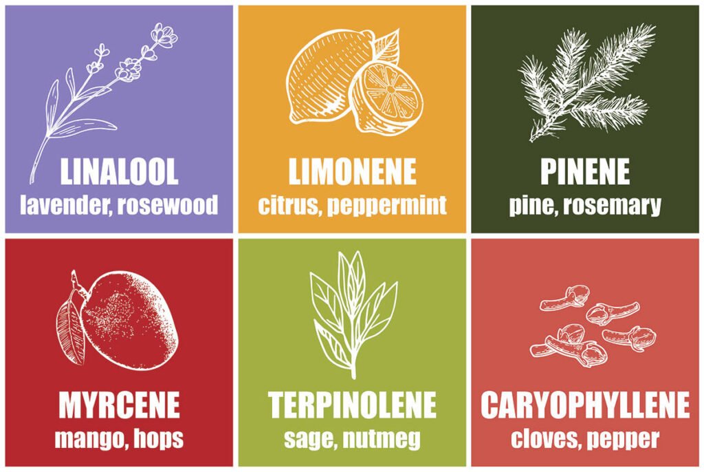 Terpenes
