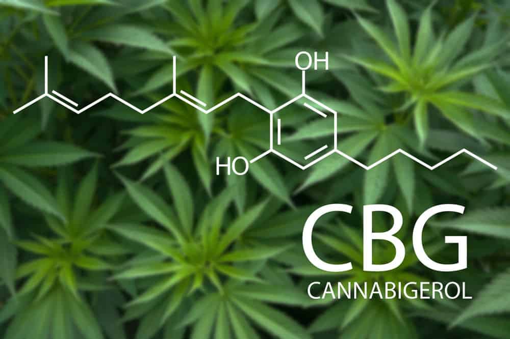 CBG Cannabigerol