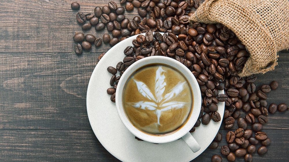 cbd coffee