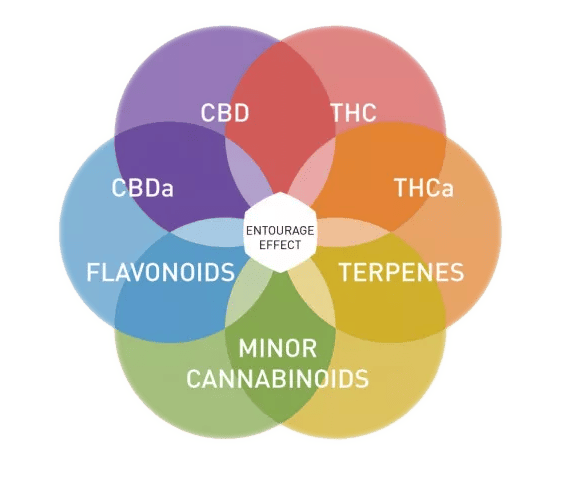 The entourage effect