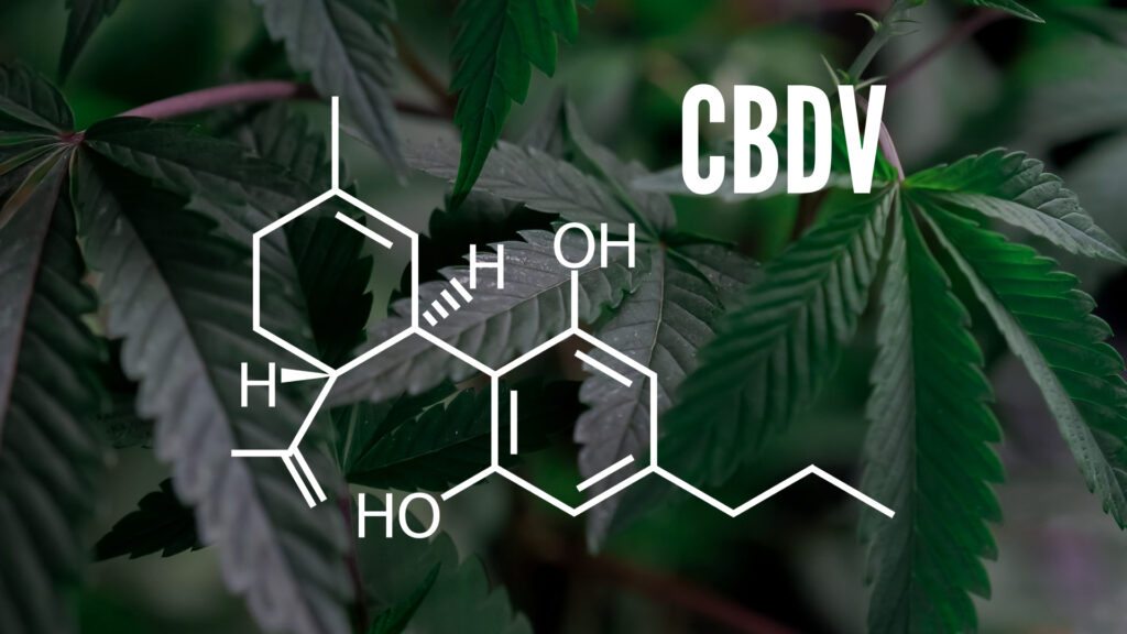 What Is Cannabidivarin (CBDV)? - OG Hemp